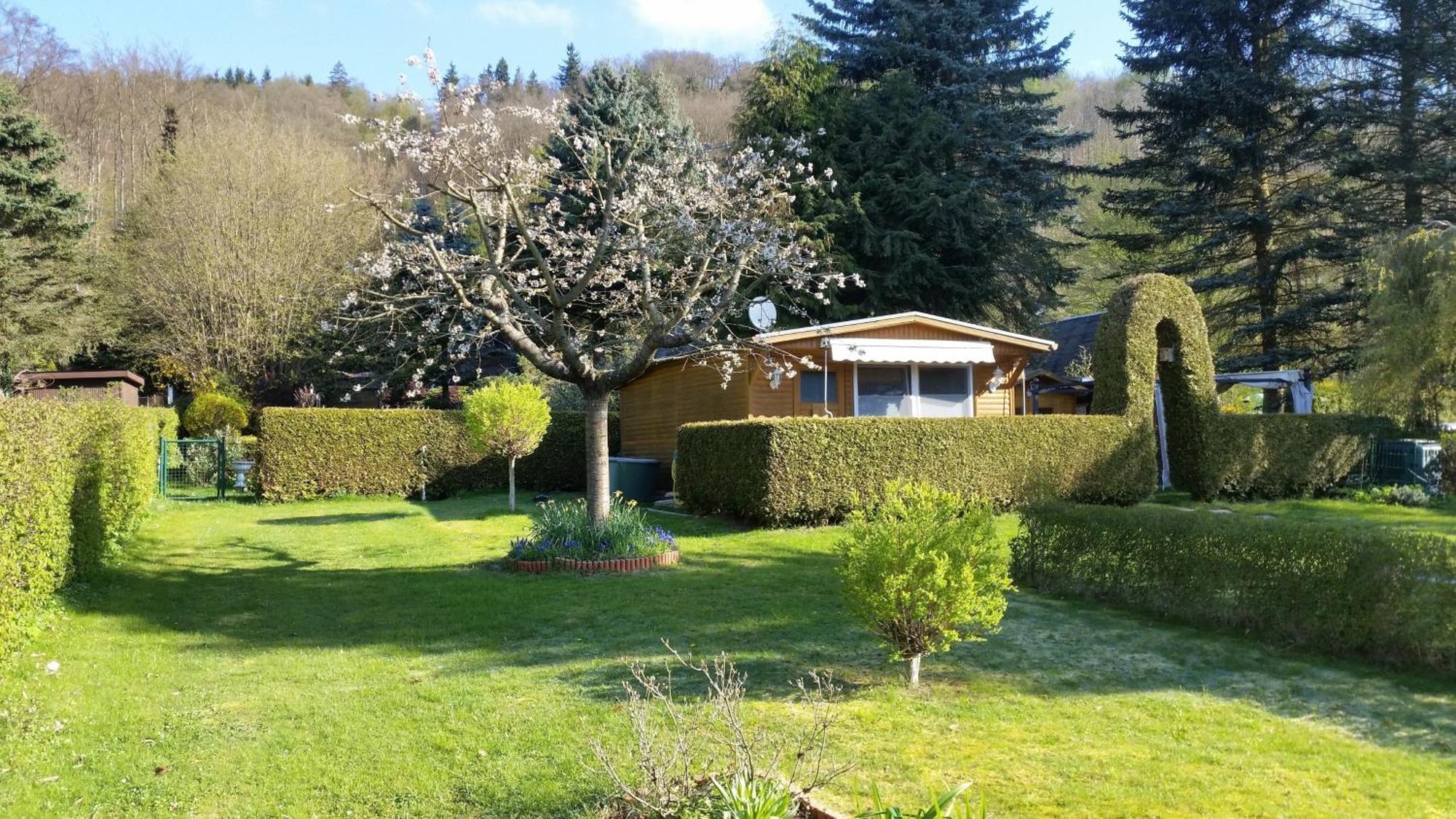 Poolhaus Im Suedharz Vila Harztor Exterior foto